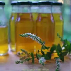 Butelki ze złotą nalewką z mięty, obok świeże gałązki z białymi kwiatkami.